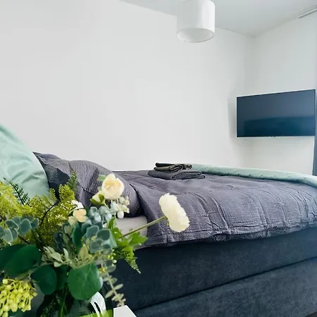 Center 杜塞尔多夫